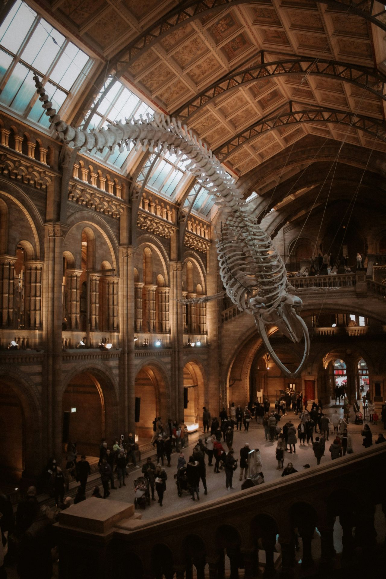 a skeleton in a large building