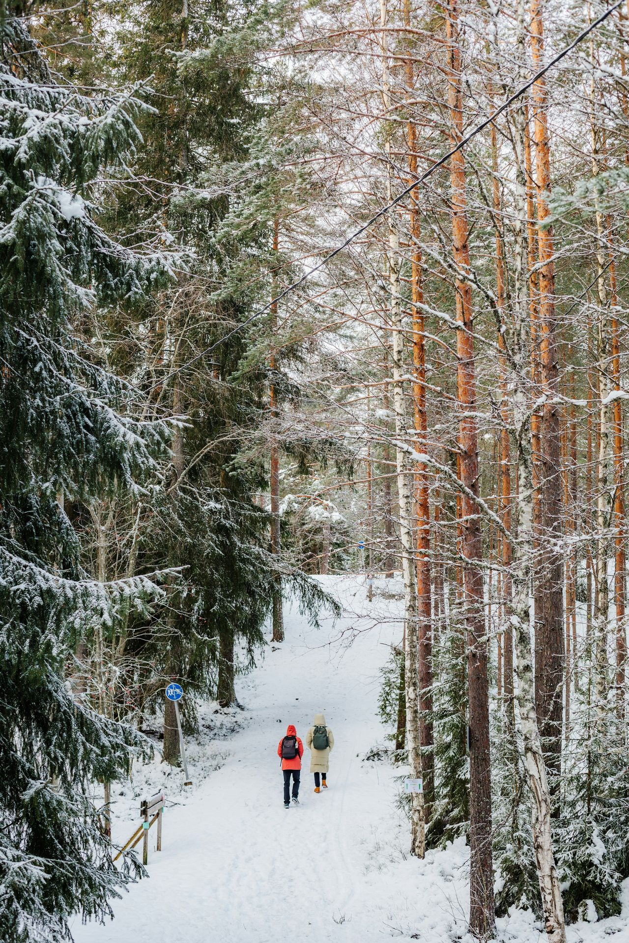 Two people walk down a snowy forest path.