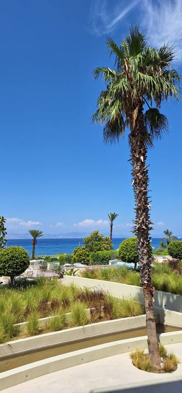 Photo de voyageur — Rhodes