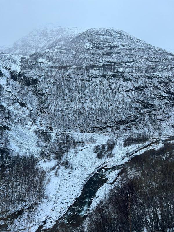 Photo de voyageur — Fjords
