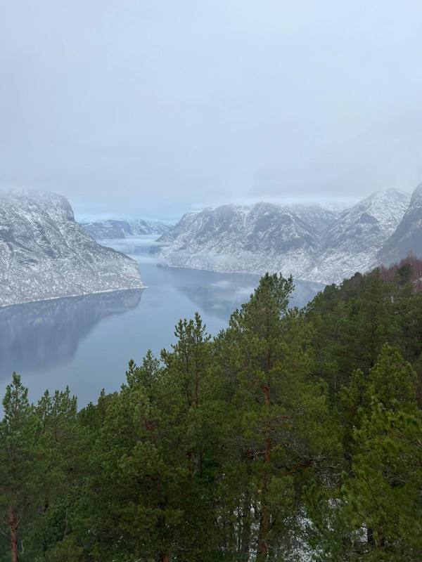 Photo de voyageur — Fjord