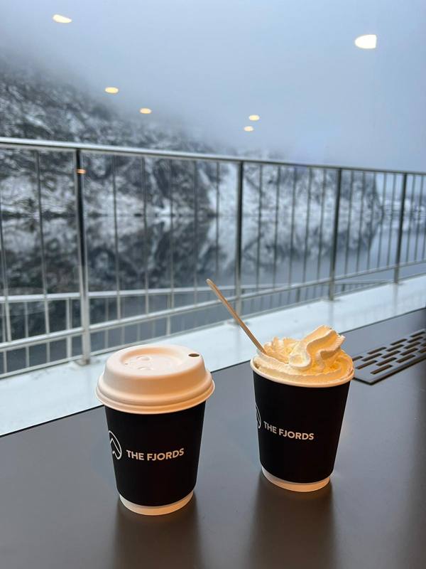 Photo de voyageur — Fjord