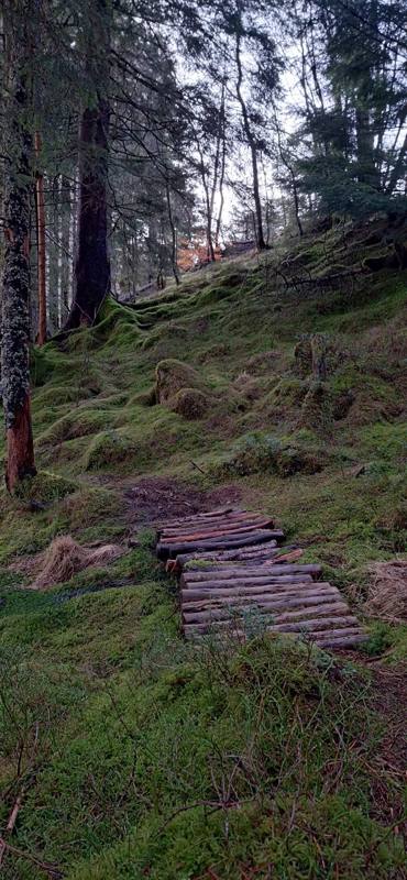 Photo de voyageur — Fjords